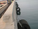 ضربه گیرهای قایق لاستیکی Tugboat Fender Bug Certificate برای محافظت از کشتی