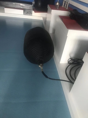 D1M*EL12M W نوع لاستیک Fender برای حفاظت از Jetty 6-8 سال عمر