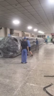 کوله هوا برای پرتاب کشتی 1.0m-35m طول یک بازو / دو بازو 10-1000 تن ظرفیت وزن برای صنعت کشتی سازی