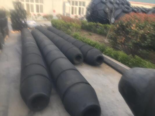 نگه داری کم رولر رولر رولر رولر 200mm 450mm طراحی شده برای کاهش هزینه های نگهداری و افزایش ایمنی رولر